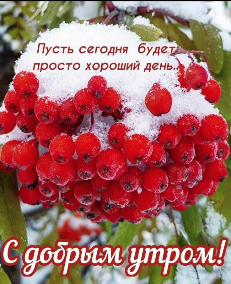 у к ча : ч  ' пусть сегодня будесл