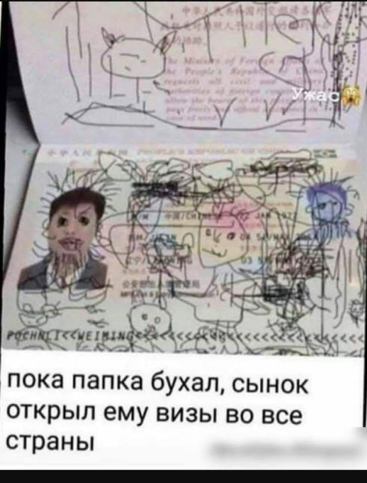 Пока папка бухал, сынок открыл ему визы во все страны