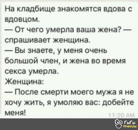 На кладбище знакомятся вдова с вдовцом От чего умерла ваша жена спрашивает женщина Вы знаете у меня очень большой член и жена во время секса умерла Женщина После смерти моего мужа я не хочу жить я умоляю вас добейте меня