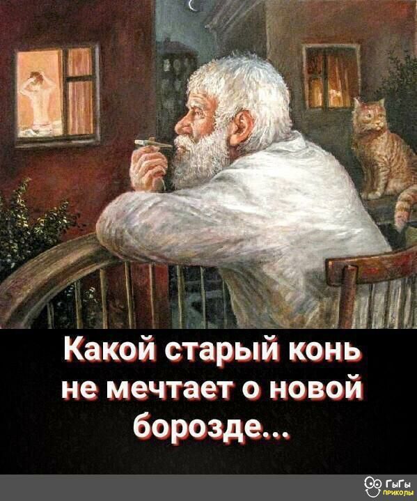 Какой старый конь не мечтает о новой борозде гп К в