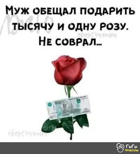 Муж оввщдл ПОДАРИТЬ тысячу и одну розу НЕ соврм тт ч