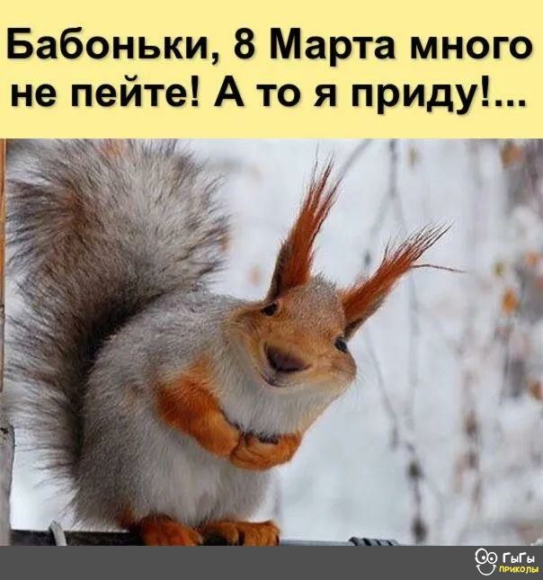 Бабоньки 8 Марта много не пейте А то я приду
