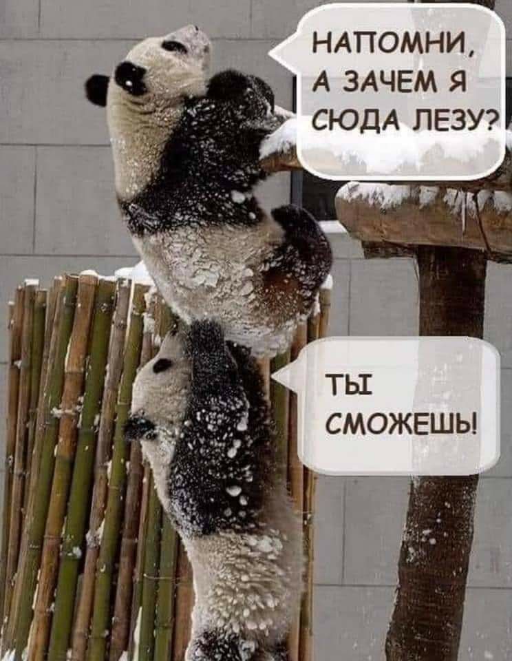 ___ _ _ НАПОМНИ А ЗАЧЕМ я СЮДА лезь