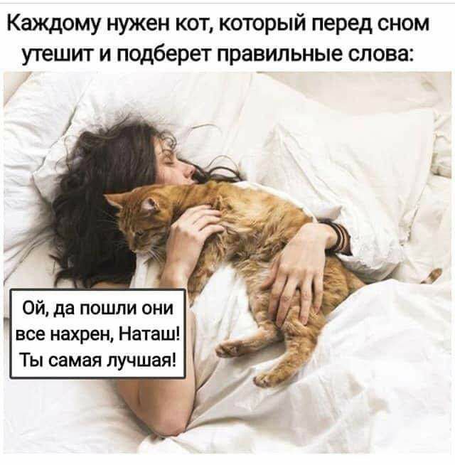 Каждому нужен кот который перед сном утешит и подберет правильные слова Ой да пошли они все нахрен Наташ Ты самая лучшая