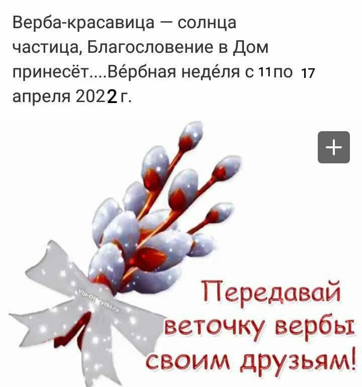 Верба красавица солнца частица Благословение в Дом принесетВербная неделя с ппо 17 апреля 2022 г Передовой Гветочку вербы своим друзьям