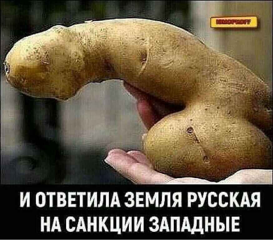 И ОТВЕТИЛА ЗЕМЛЯ РУССКАЯ НА САНКЦИМ ЗАПАДНЫЕ
