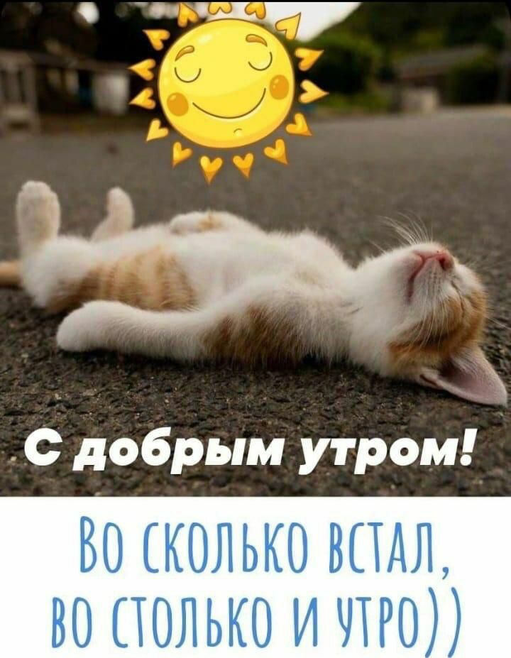 с добрым утром