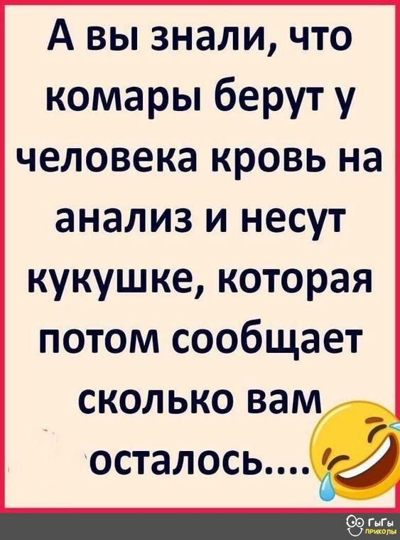 А вы знали что комары берут у человека кровь на анализ и несут кукушке которая потом сообщает сколько вам осталось