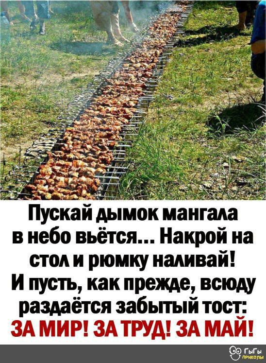 Пускай дымок мангада в небо вьётся Накрой на стол и рюмку наливай и пусть__ как прежде всюду раздаётся забьпый тост 3А МИР ЗАТРУА ЗА МАЙ гыгы к и
