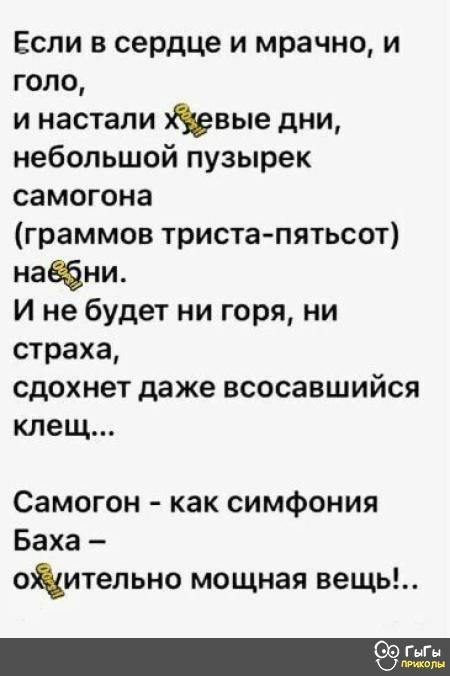 Если в сердце и мрачно и голо и настали йдвые дни небольшой пузырек самогона граммов триста пятьсот нации И не будет ни горя ни страха сдохнет даже всосавшийся клещ Самогон как симфония Баха тительно мощная вещь