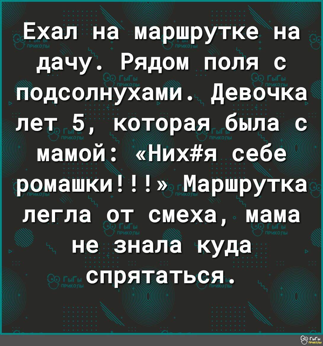 Ехал на маршрутке на дачу Рядом поля с подсолнухами девочка лет 5 которая была с мамой Нихя себе ромашки Маршрутка легла от смеха мама не знала куда спрятаться СЭ