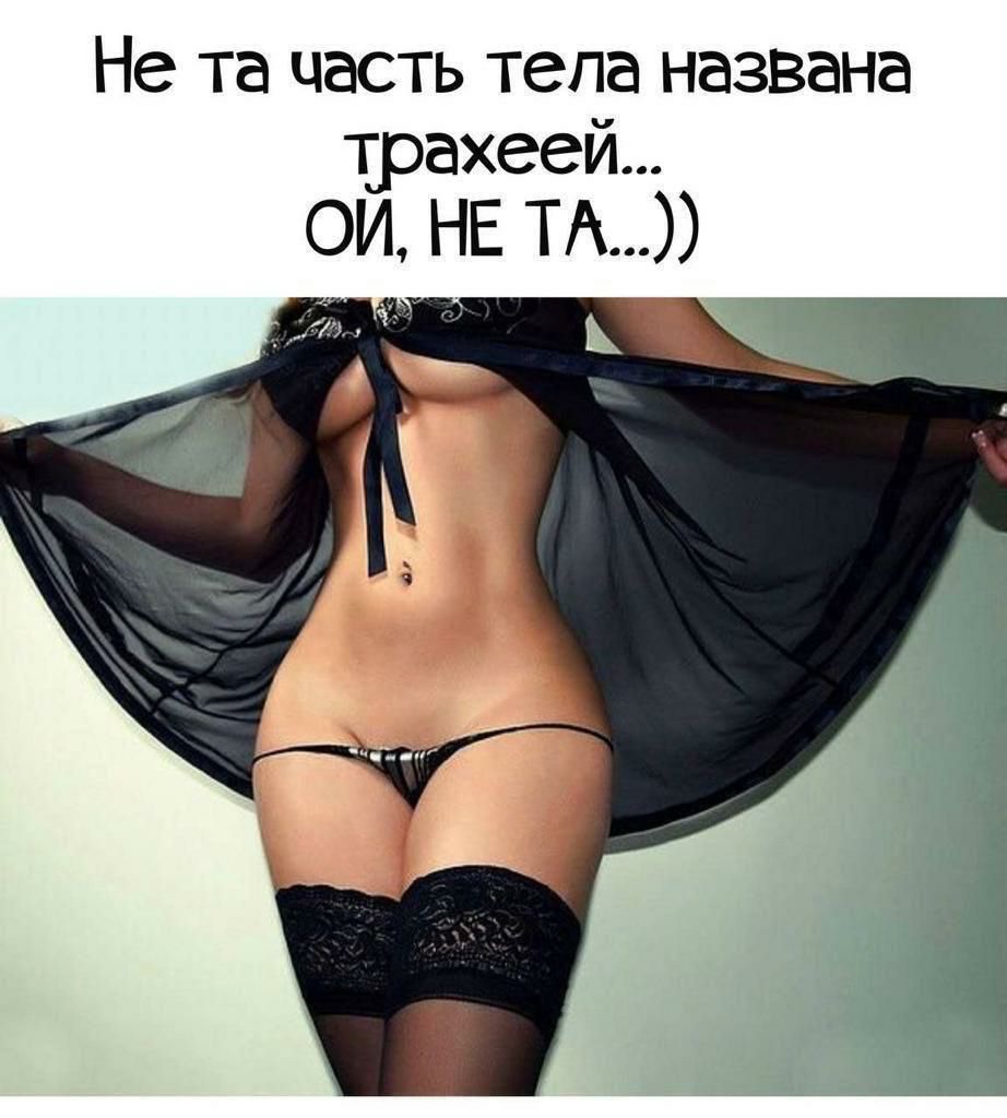 Не та часть тела названа трахеей и ч