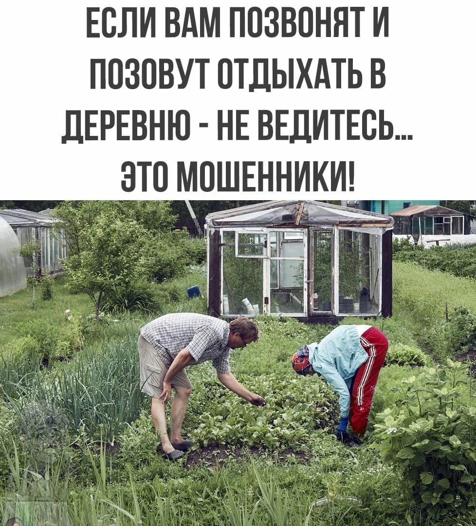 не ходи никуда отдохни мем