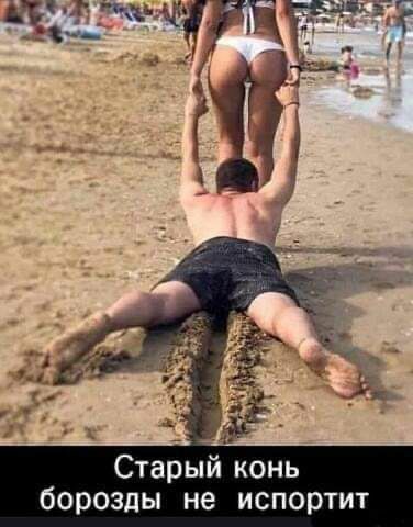 Старый конь борозды не испортит