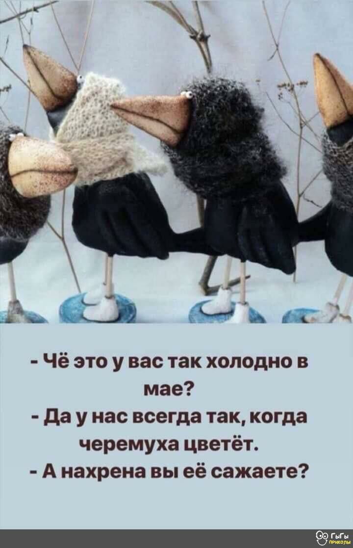 _ _ш Ю ББ Гц 61 Чё это у вас так холодно в мае да у нас всегда так когда черемуха цветёт А нахрена вы её сажаете