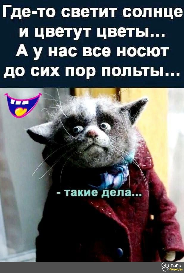 Где то светит солнце и цветут цветы А у нас все носют до сих пор польты