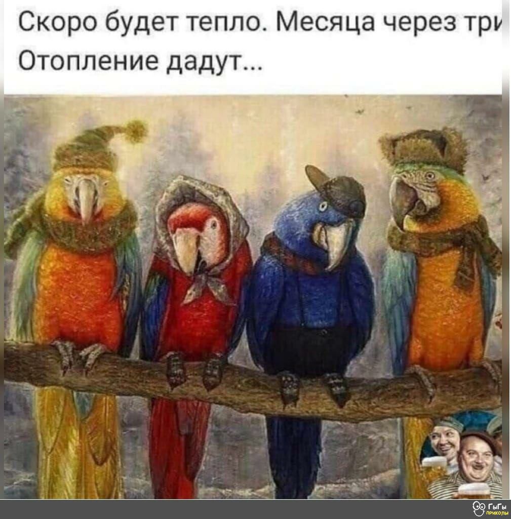 Скоро будет тепло Месяца через тру Отопление дадут