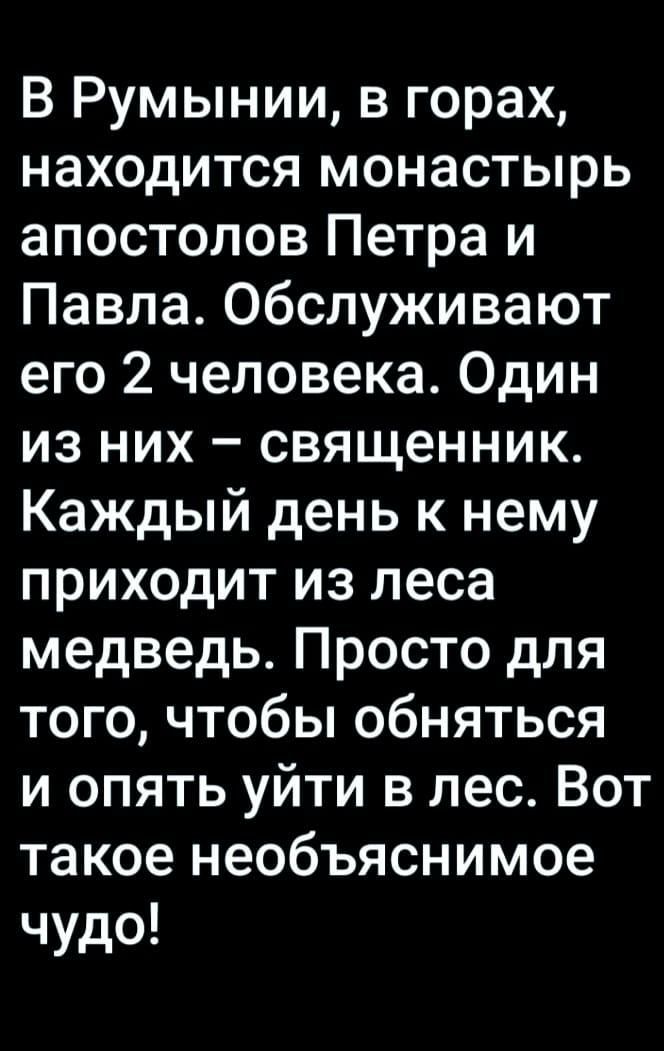 В Румынии в горах находится монастырь апостолов Петра и Павла обслуживают его 2 человека Один из них священник Каждый день к нему приходит из леса медведь Просто для того чтобы обняться и опять уйти в лес Вот такое необъяснимое чудо