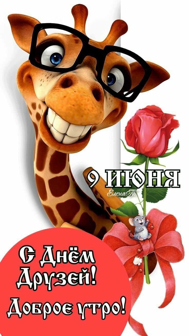 Доввоедстро