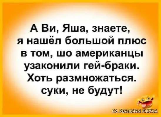А Ви Яша знаете я нашёл большой плюс в том шо американцы узаконили гей браки Хоть размножаться суки не будут г
