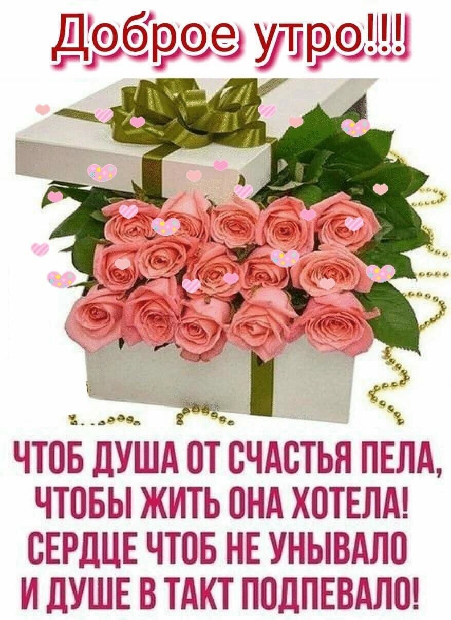 ЧТОБ ДУШД ПТ СЧАСТЬЯ ПЕЛд ЧТОБЫ ИТЬ ПНД ХОТЕЛД СЕРДЦЕ ЧТОБ НЕ УНЫВДЛП И ДУШЕ В ТДКТ ППДПЕВДЛП