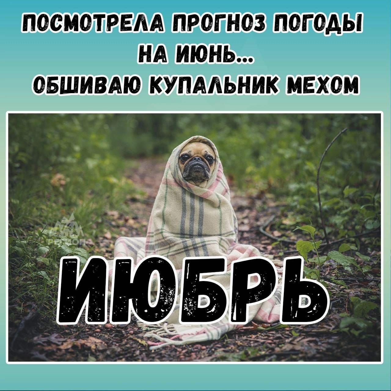 ПОСМОТРЕАА ПОГОДЫ