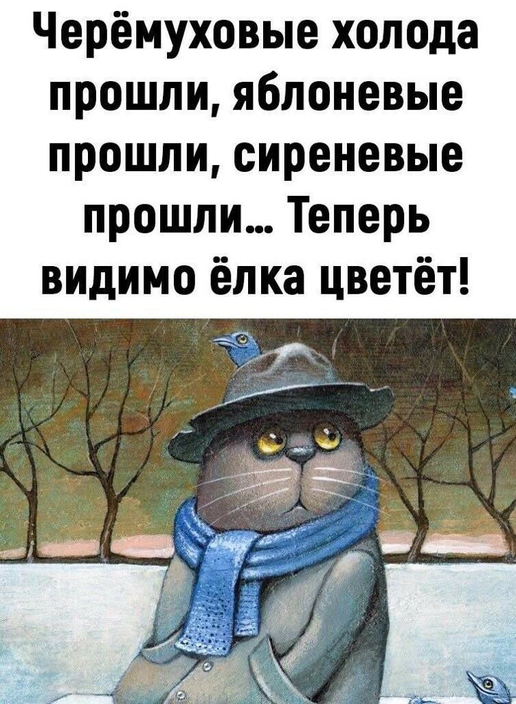 Теперь видимо