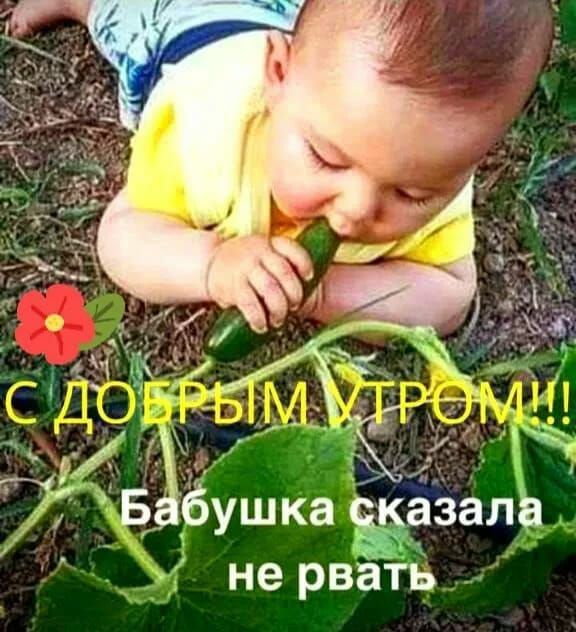 бушка ёзаль не рвать