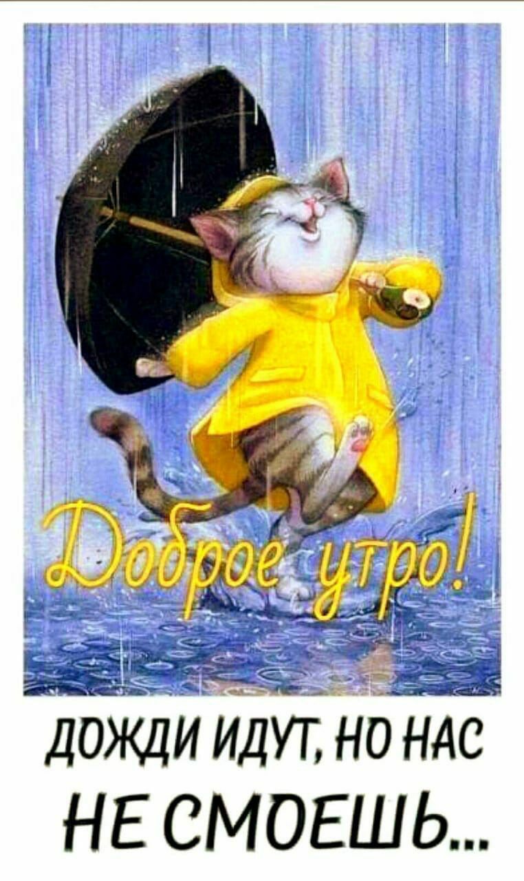 дожди идуг но ндс НЕ СМОЕШЬ