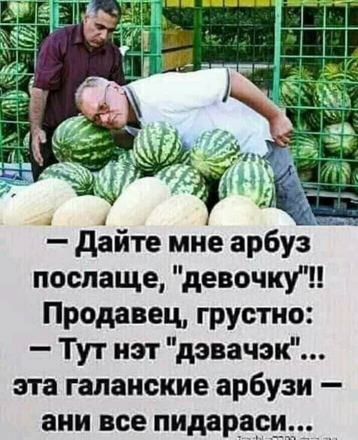 дайте мне арбуз послаще девочку Продавец грустно Тут нэт дэвачэк эта галанские арбузи ани все пидарас _