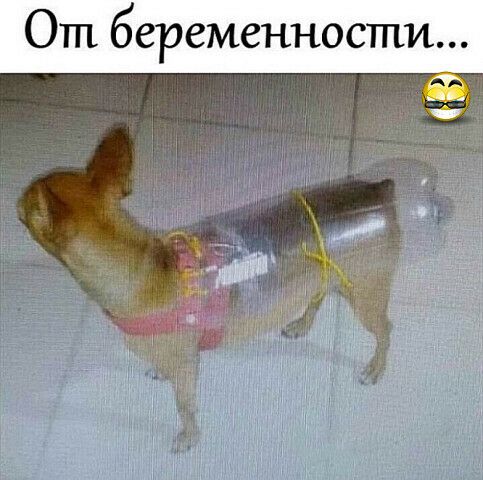ЬМ