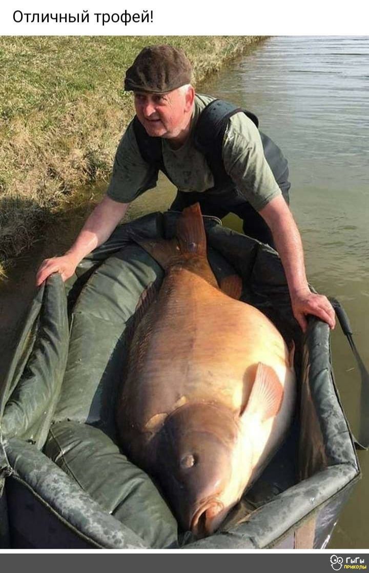 Отличный трофей