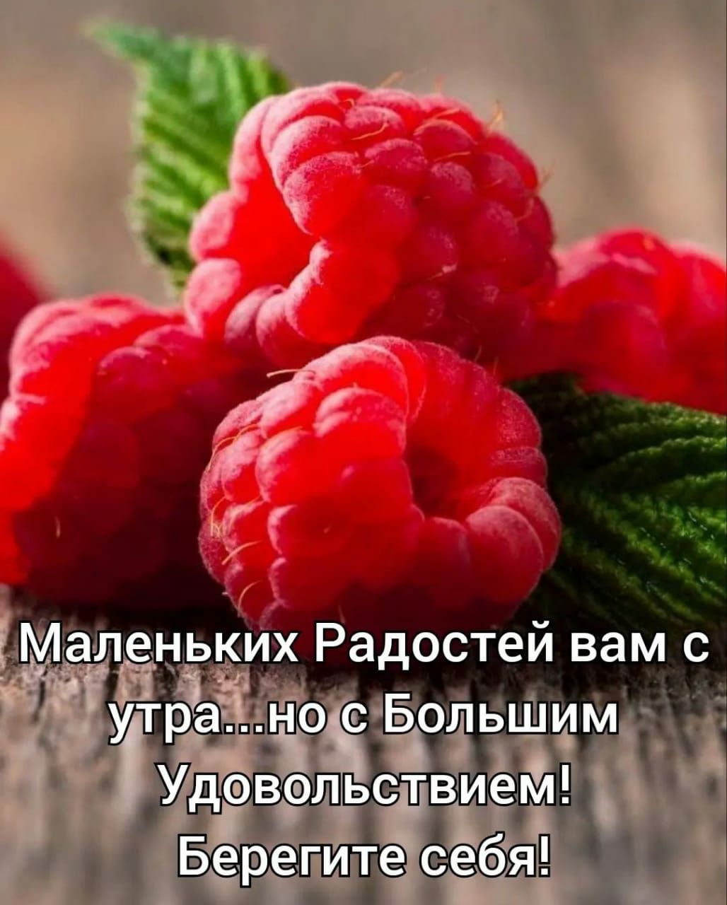 Болтышмд 1 твиёъл