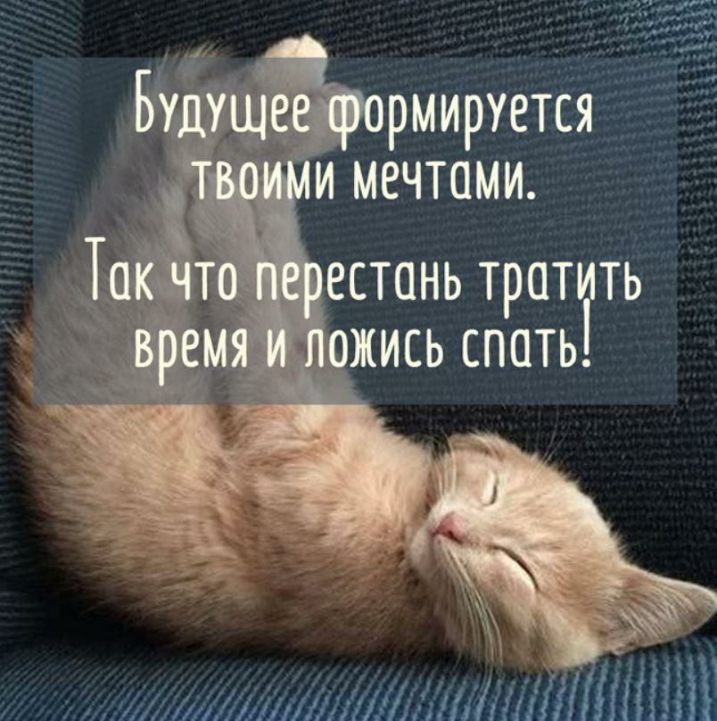 дт жилищлиш ті