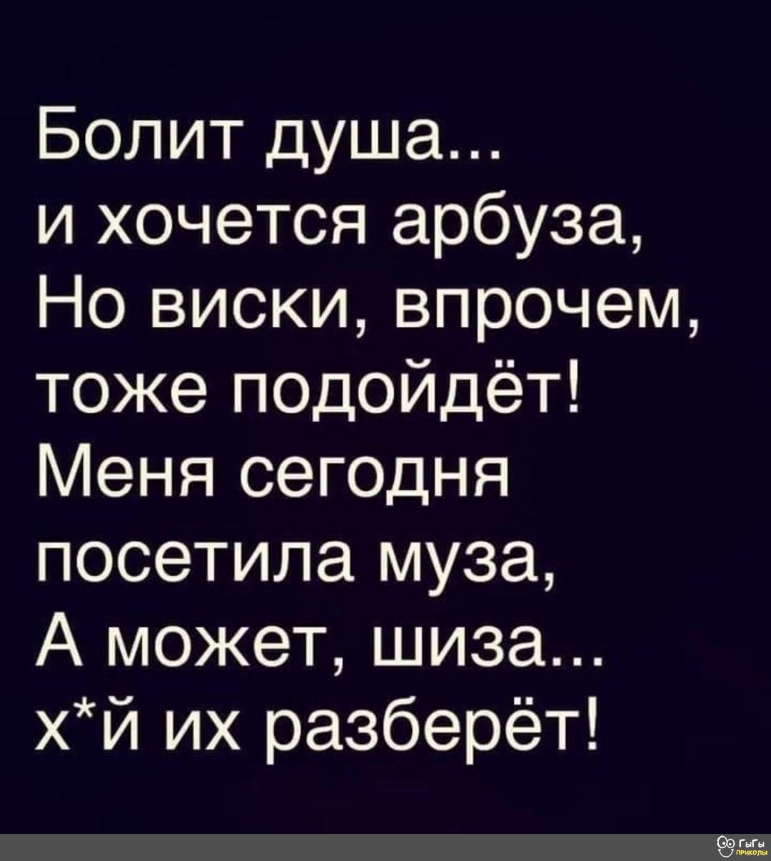 Болит душа и хочется арбуза Но виски впрочем тоже подойдёт Меня сегодня посетила муза А может шиза хй их разберёт