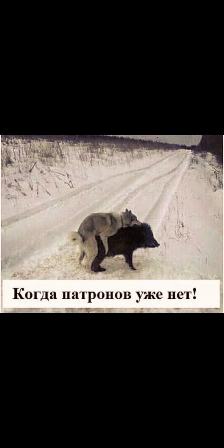 Когда шпроты уже нет