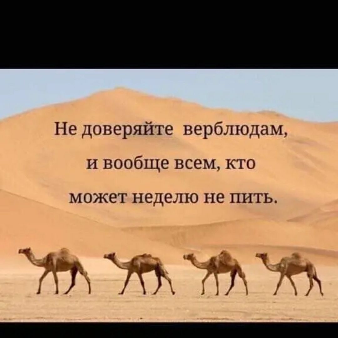 Не доверяйте вербшодам и вообще всем кто МОЖЕТ НеЦеЛЮ НЭ НИТЬ Атт Ю ЧЖЪ