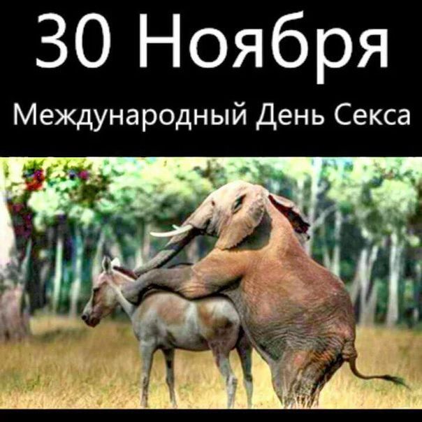 30 Ноября Международный День Секса