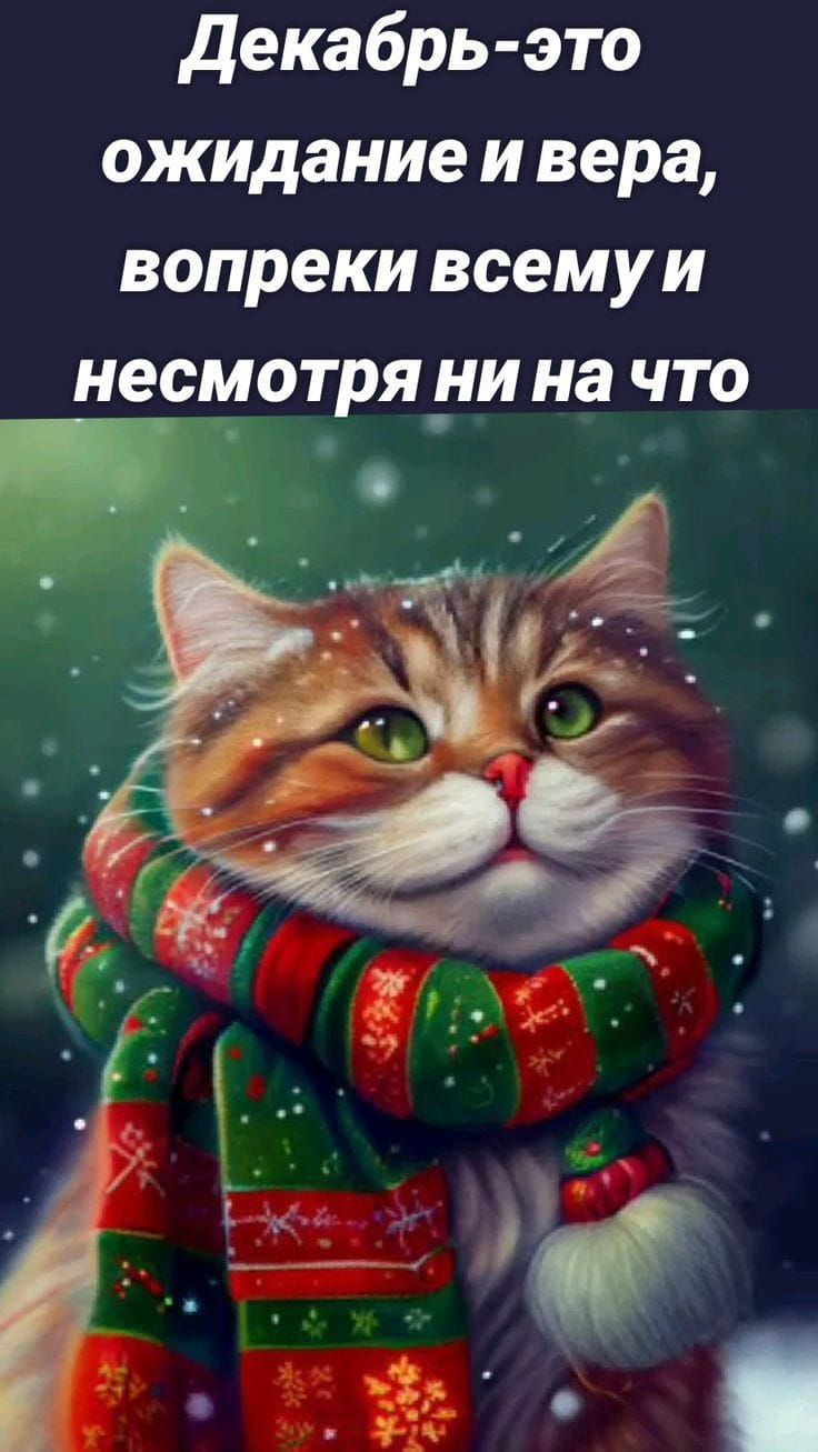 декабрь это ожидание и вера вопреки всемуи НСМОТРЯ НИ на ЧТО