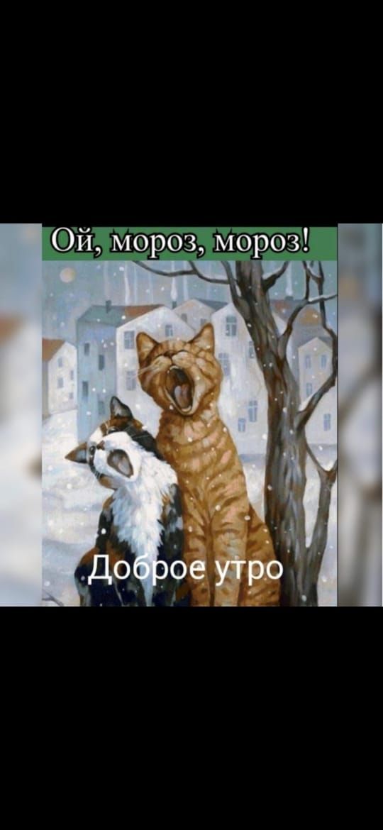И МОРО 3 _ 7 3 МОРО