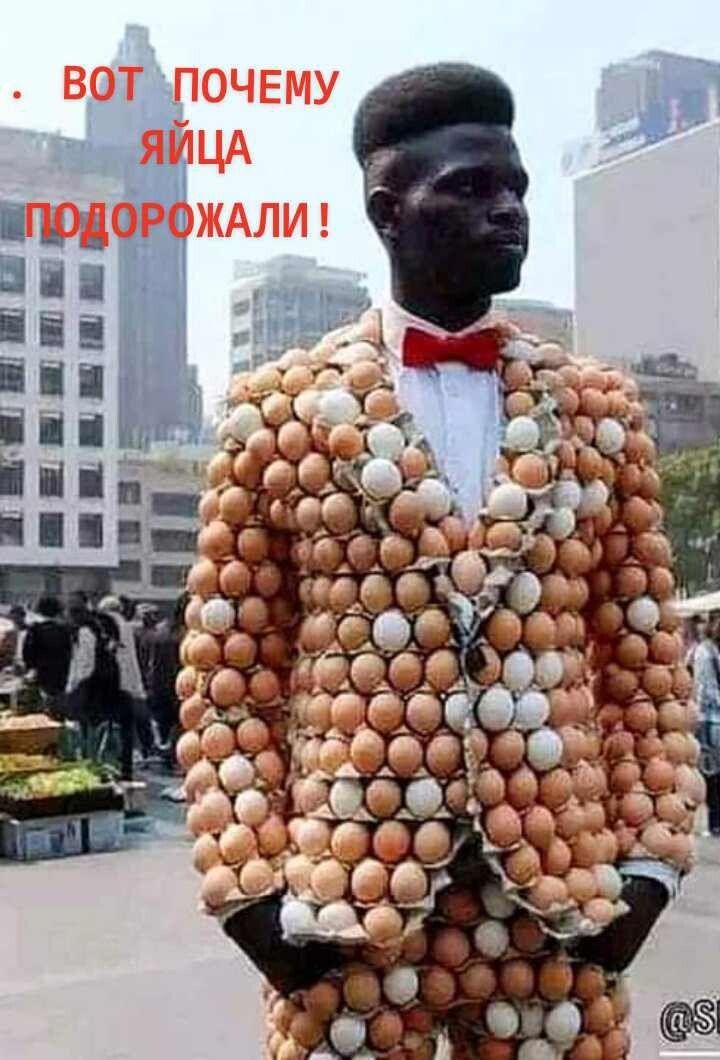 ы 08 ПН н о в 8 т и оТн оо В