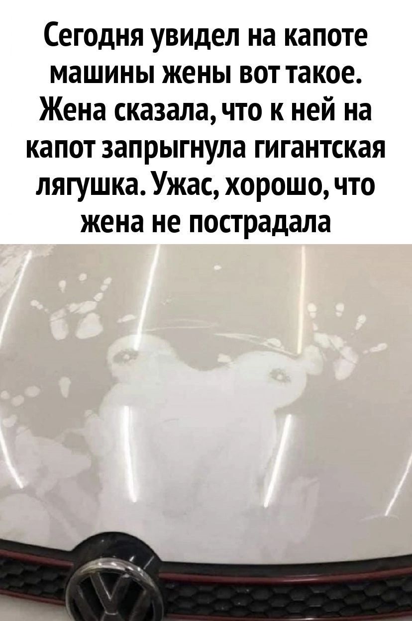 Сегодня увидел на капоте машины жены вот такое Жена сказала что к ней на капот запрыгнула гигантская лягушка Ужас хорошо что жена не пострадала