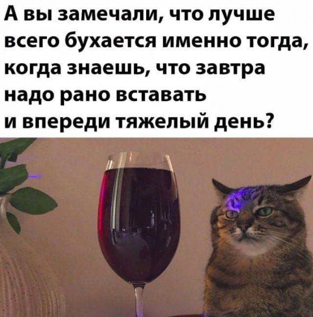 А ВЫ замечали что лучше ВСЕГО бухается ИМЕННО тогда когда знаешь ЧТО завтра надо рано вставать и впереди тяжелый день