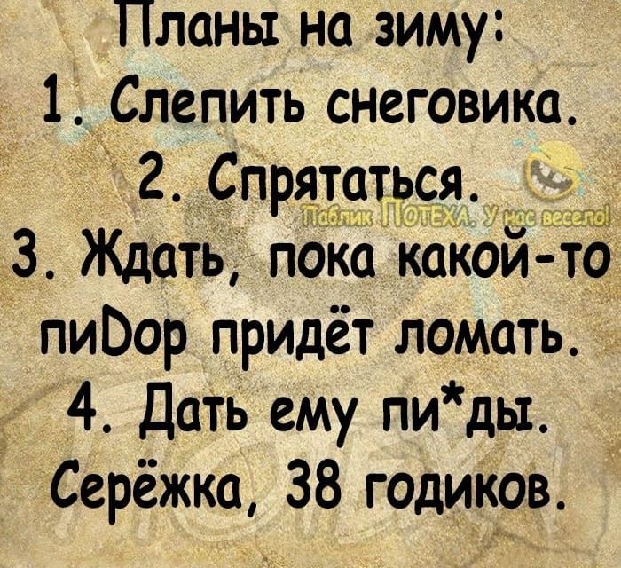 Планы на зиму 1 Слепить снеговика 2 Спрятаться В _ 3 Ждать пока какой то пиВор придёт ломать __ 4 Дать ему пидь1 Серёжки 38 годикрв