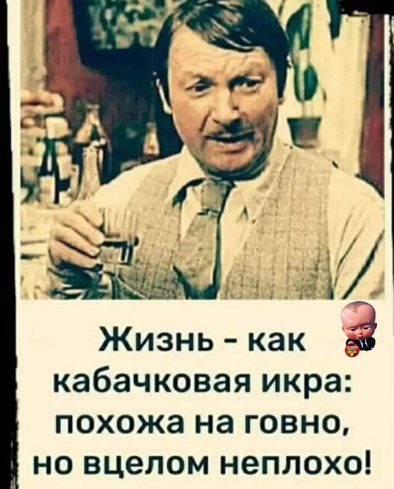 Жизнь как 53 кабачковая икра похожа на говно но вцелом неплохо
