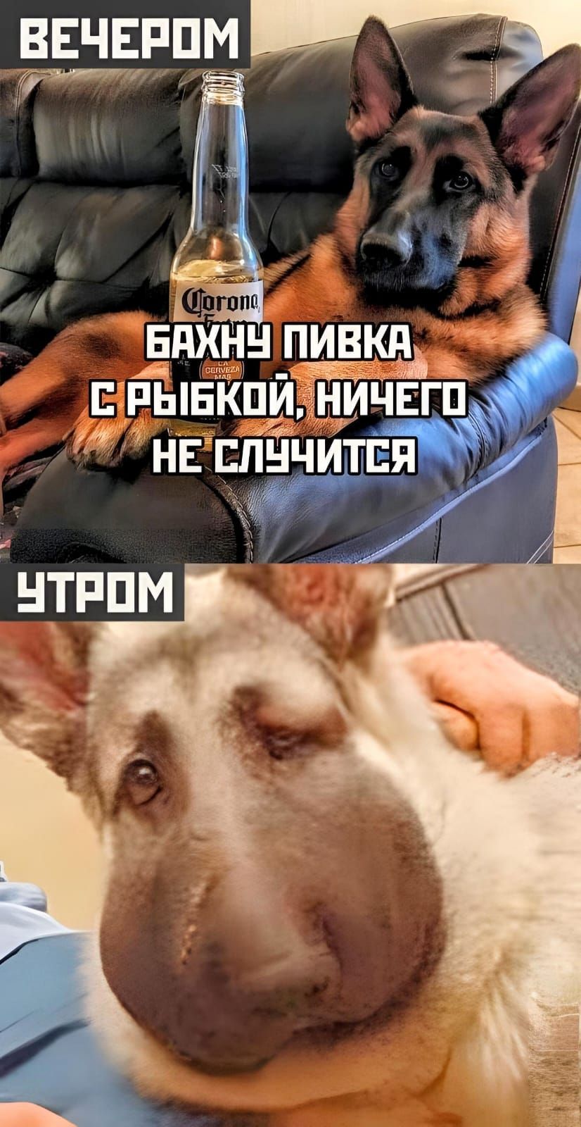 _в_вчвппм Щ