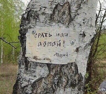 срть Майи мм У Авдий