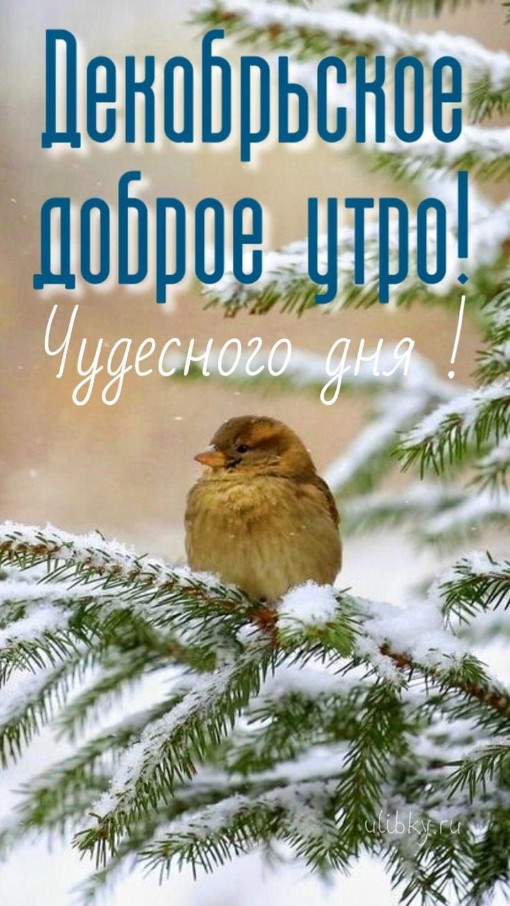 Пенпбпьвнпем лпйппвщшм