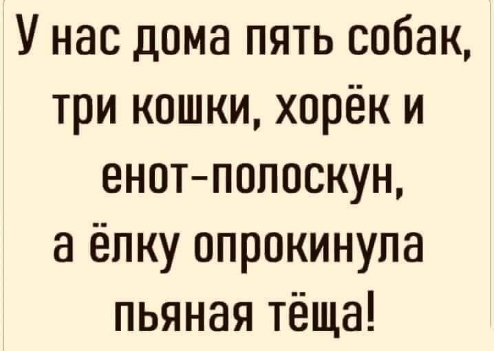 У нас дома пять собак три кошки хорёк и енот полоскун а ёпку опрокинула пьяная тёща