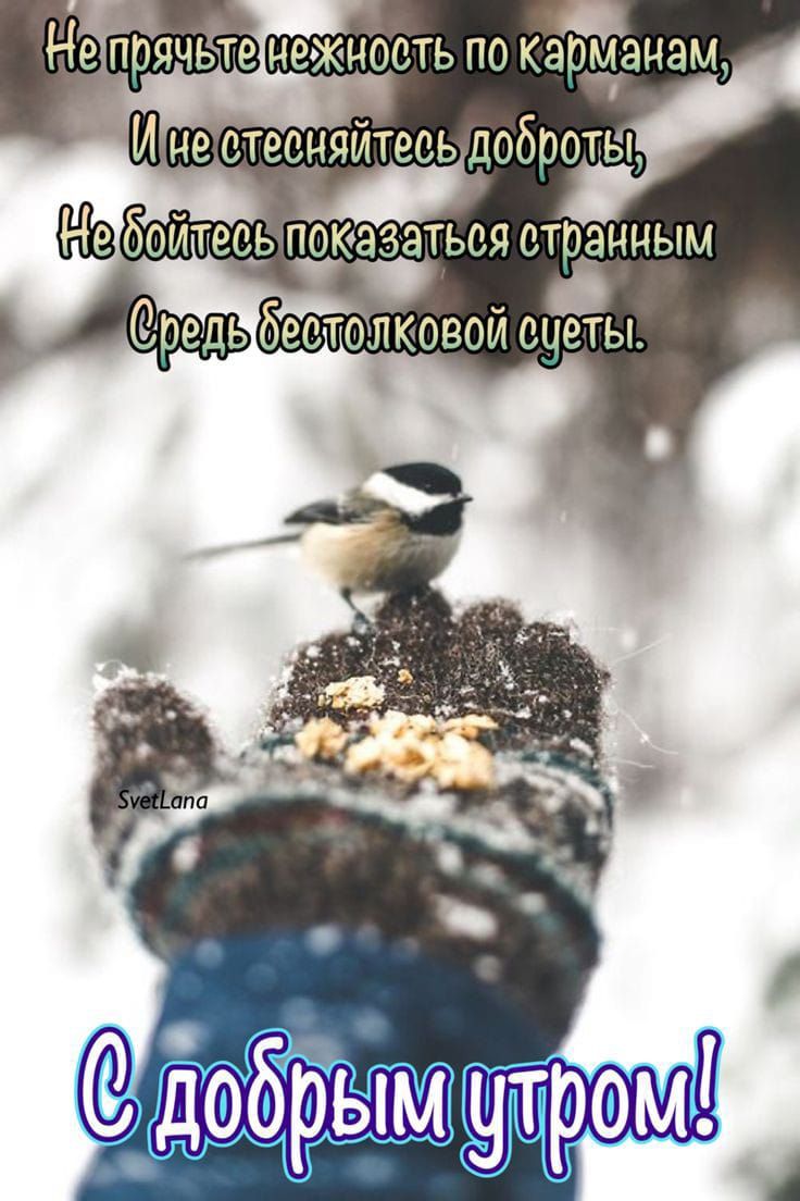 Надподчёте нежность по кающанам Иуде сте оняйтесь добоотш 60 ИТЕОЬПОКЗЗЭТЬОЯ СТОЭНЧЫМ